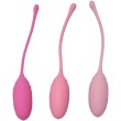 KEGEL EXERCISE SYSTEM